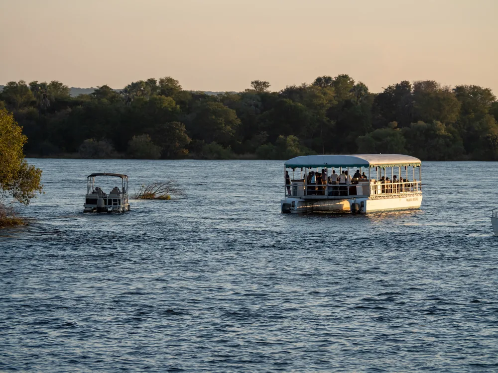 To turistbåde på Zambezi i gyldent aftenlys, med træer langs den modsatte bred